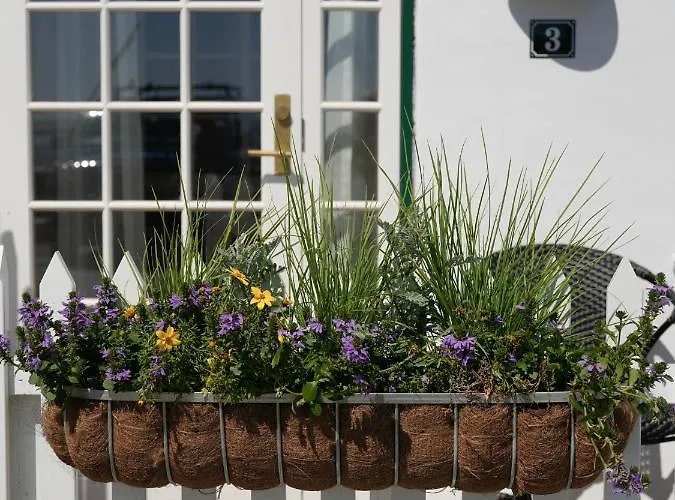 Hotell Fano Krogaard